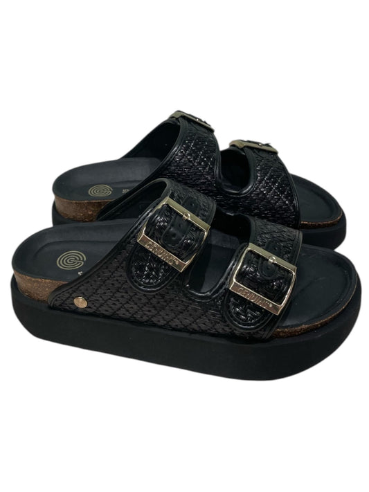 Hawaii Raffia Black -106362