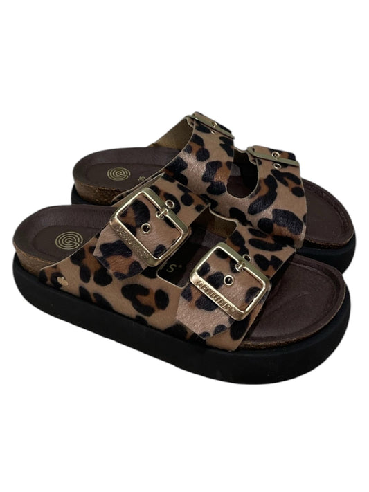 Honolulu vegan leopard -106336