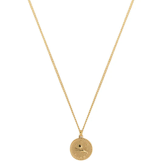 Collane dello zodiaco CULB MANHATTAN - V_ZODIAC